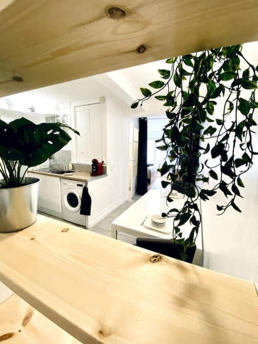 *l'appart D'eden* Au Coeur De Appartement